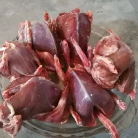 گوشت کبوتر آبگوشتی