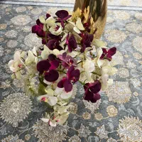 گلدان|صنایع دستی و سایر لوازم تزئینی|اصفهان, پوریای ولی|دیوار