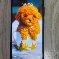 نوت ۸