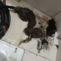 لوله باز کنی وچاه باز کن طبرسی پنجتن شبانه روزی|خدمات پیشه و مهارت|مشهد, طبرسی شمالی|دیوار