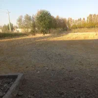 اجاره سالن|اجارهٔ دفتر صنعتی، کشاورزی، تجاری|میانه, |دیوار