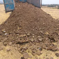 کود تمیز حیوانی