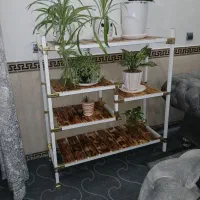 قفسه بندی و استند  رگال بوتیک چوب دماوند