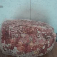 سنگدان منجمد