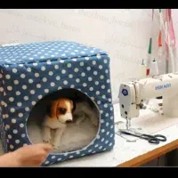 باکس حیوانات