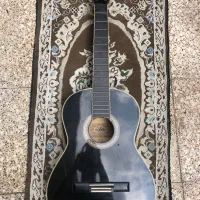 گیتار آریا