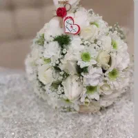 فیلم برداری  جناب آقای مجید سقایی|خدمات پذیرایی، مراسم|بندرعباس, |دیوار