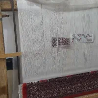 وسایل خانگی|فرش|سقز, |دیوار