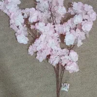 شکوفه بهاری  ی شاخه کاملا نو و سالم