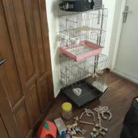 باکس پرنده|لوازم جانبی حیوانات|تهران, حشمتیه|دیوار