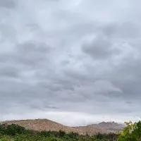 سرمایه گذاری