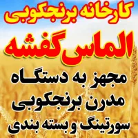برنج هاشمی درجه یک|خوردنی و آشامیدنی|رشت, فلسطین|دیوار