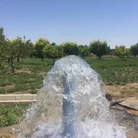 کارشناسی اب|خدمات پیشه و مهارت|فسا, |دیوار