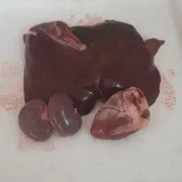 قصاب|خدمات پذیرایی، مراسم|قم, نیروگاه|دیوار