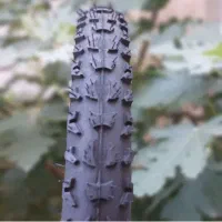 تایر|دوچرخه، اسکیت، اسکوتر|آبادان, |دیوار