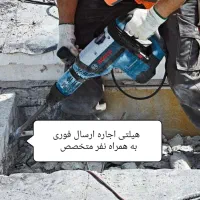 اجاره هیلتی پیکر و تخریب ارسال فوری