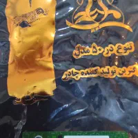 چادر پگاه نور|خدمات پیشه و مهارت|کرمانشاه, |دیوار