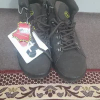کفش ایمنی کار