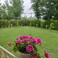 ویلا دردل جنگل|اجارهٔ کوتاه‌مدت ویلا و باغ|ماسال, |دیوار