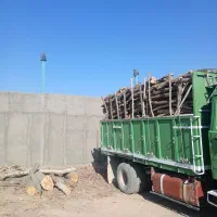 خرید همه نوع چوب