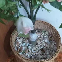 گلدان بزرگ با گل بزرگ‌|گل مصنوعی|تبریز, |دیوار