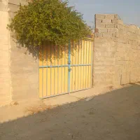 باغچه-چهار-دیواری-دهشاد