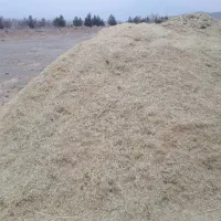 کاه یونچه|گل و گیاه طبیعی|ایواوغلی, |دیوار