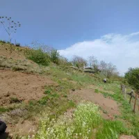 زمین ییلاقی|فروش خانه و ویلا|تالش, تالش|دیوار