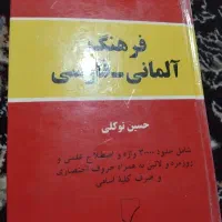 فرهنگ المانی-ایرانی