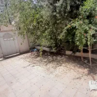 بلوار پاسداران