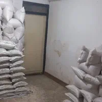 برنج فجر سوزنی