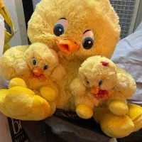 عروسک پولیشی