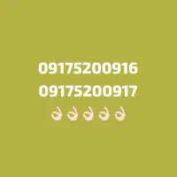 09175200917