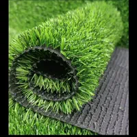 دیوارسبز . آکاردائونی .چمن مصنوعی . گرین وال