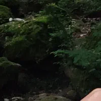 دستبند نقره|جواهرات|قم, نیروگاه|دیوار