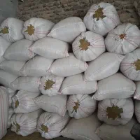 علف|لوازم جانبی حیوانات|سنندج, |دیوار