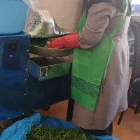 سبزی مارکت خانوم خونه