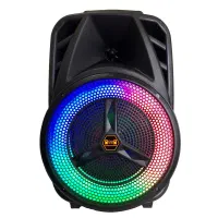اسپیکر شارژی و بلوتوثیEVER 823با میکروفون