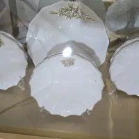 ظرف شیک دکوری وقابل استفاده برای پذیرایی|ظروف سرو و پذیرایی|فولادشهر, C3|دیوار