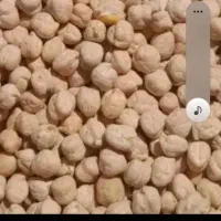 نخود بذری درشت