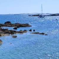 سرویس مدرسه نیازمندیم