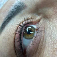 مدل رایگان خط چشم