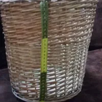 دو گلدان حصیزی نو|گل و گیاه طبیعی|قم, باجک یک|دیوار