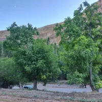 باغ فروشی در سد کارده دره ال ۱۵۰۰ متری|فروش خانه و ویلا|مشهد, کارده|دیوار