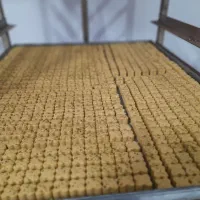 شیرینی خانگی سبزوار|خدمات پذیرایی، مراسم|مشهد, کارگران|دیوار