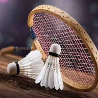 پارتنر تمرینی بدمینتون