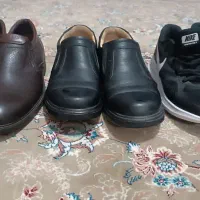 کفش مجلسی واسپرت نو