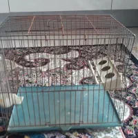 فروش قفس پرنده