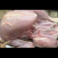 گوشت بوقلمون