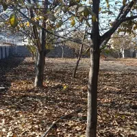 کلبه باغ کارگاه خانه 40متری